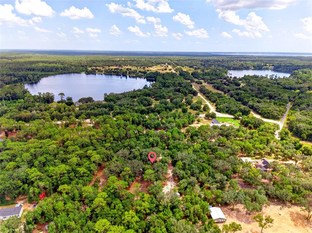 Property for sale at 9955 SE 160TH AVENUE, OCKLAWAHA, FL, 32179