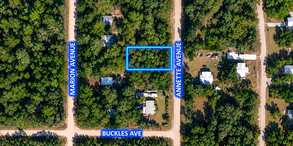 Property for sale at 915 ANNETTE AVENUE, INTERLACHEN, FL, 32148