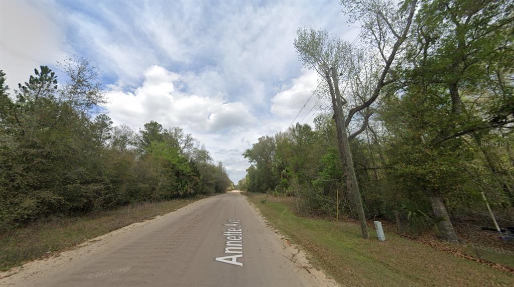 Property for sale at 915 ANNETTE AVENUE, INTERLACHEN, FL, 32148