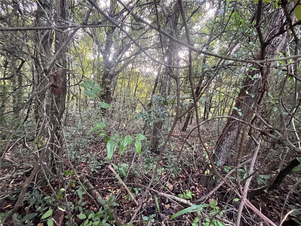 Property for sale at 915 ANNETTE AVENUE, INTERLACHEN, FL, 32148