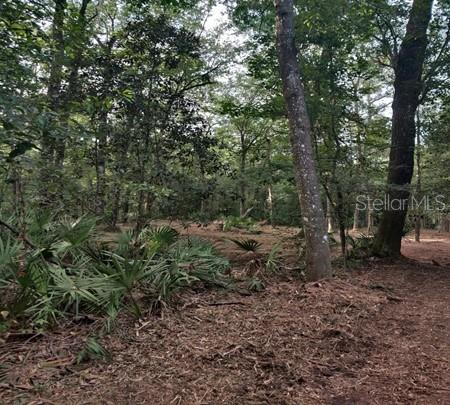 Property for sale at 5212 NW 19TH STREET, GAINESVILLE, FL, 32653