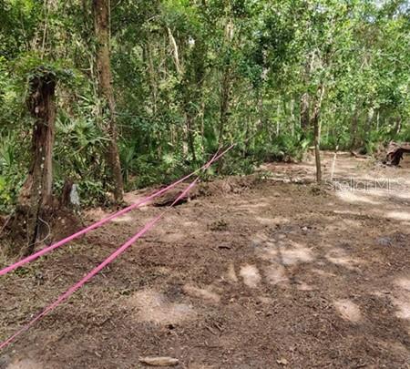 Property for sale at 5212 NW 19TH STREET, GAINESVILLE, FL, 32653