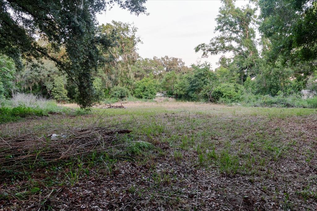 Property for sale at 11152 GALAXY LANE, THONOTOSASSA, FL, 33592