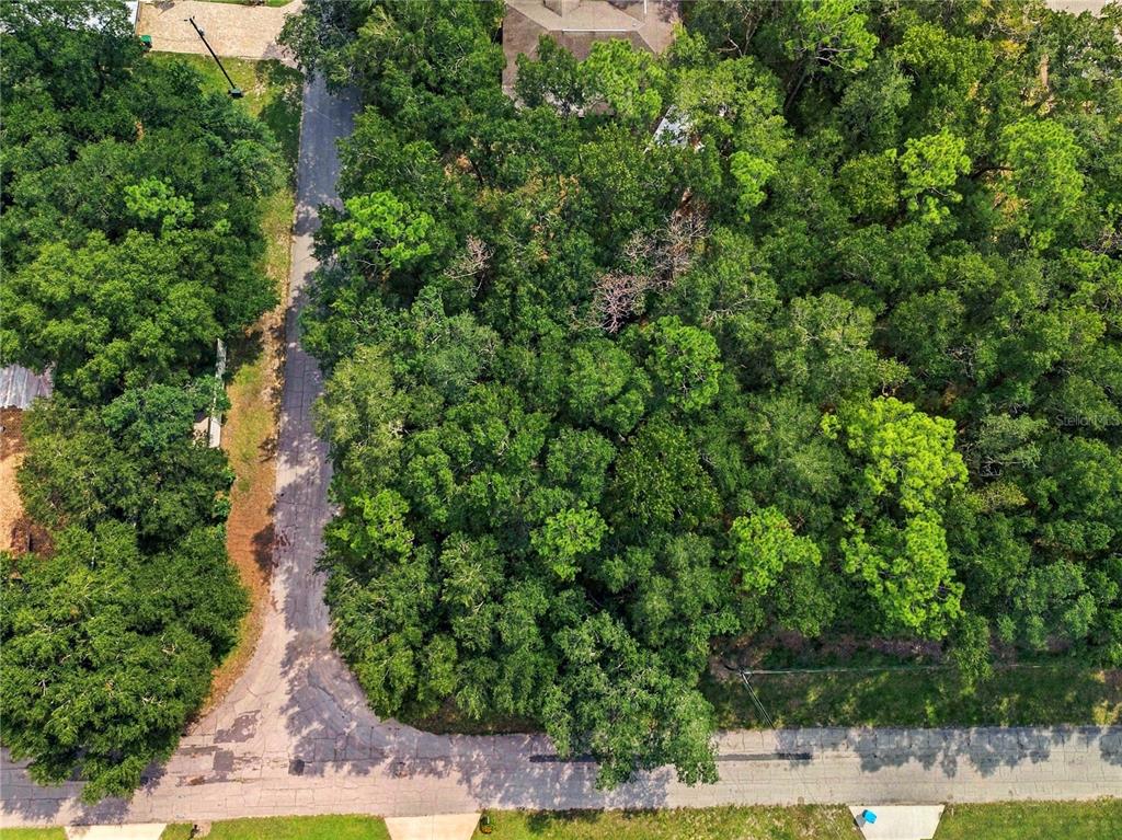 Property for sale at 1614 W HILL LANE, CITRUS SPRINGS, FL, 34434
