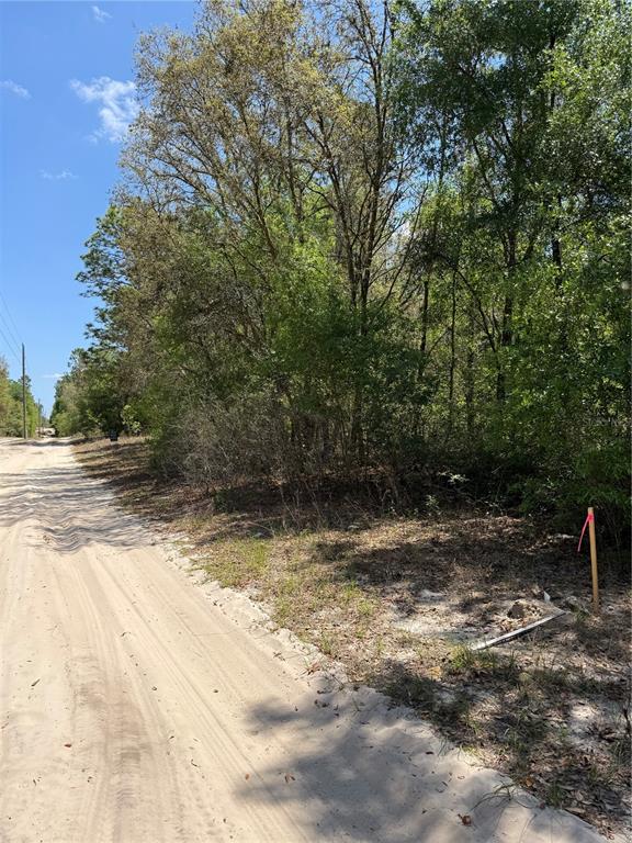 Property for sale at NE 118TH LANE, BRONSON, FL, 32621