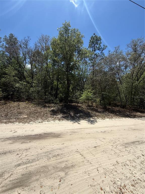 Property for sale at NE 118TH LANE, BRONSON, FL, 32621