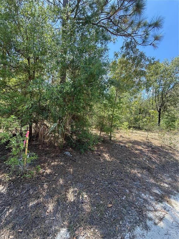 Property for sale at NE 118TH LANE, BRONSON, FL, 32621