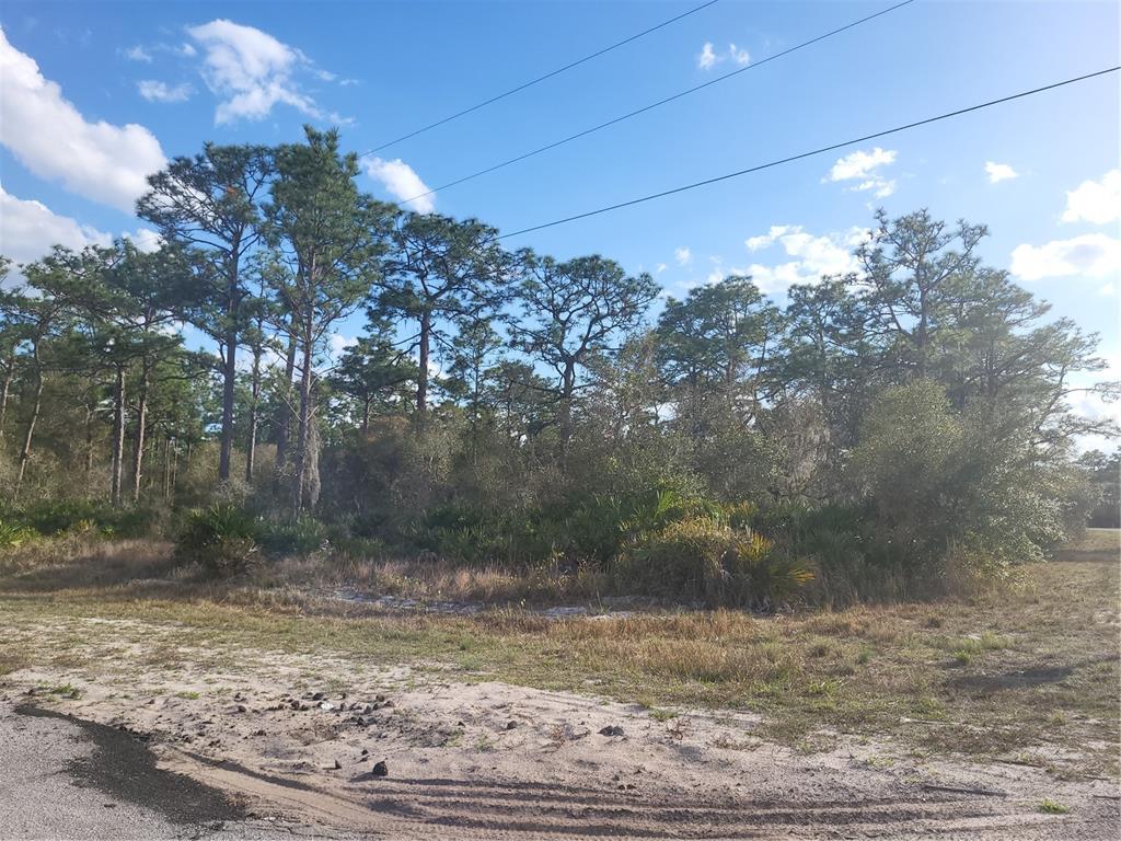 Corner Lot 10