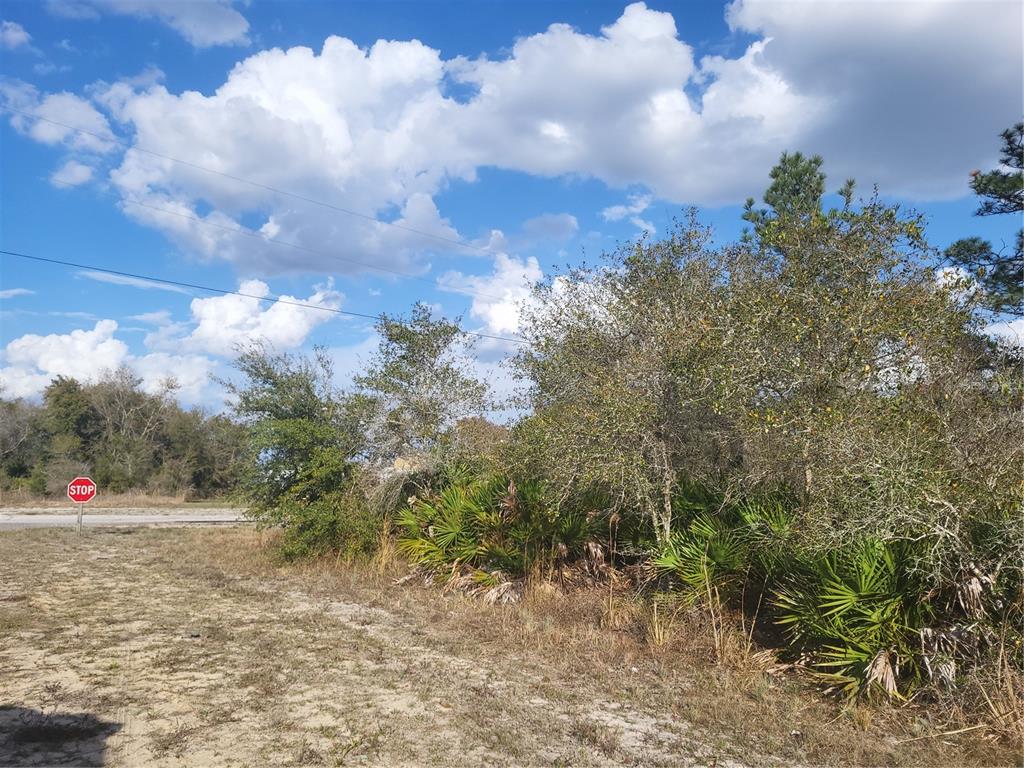 Corner Lot 10 Orlando Drive