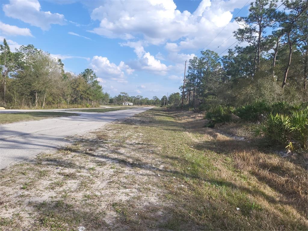 Orlando Drive