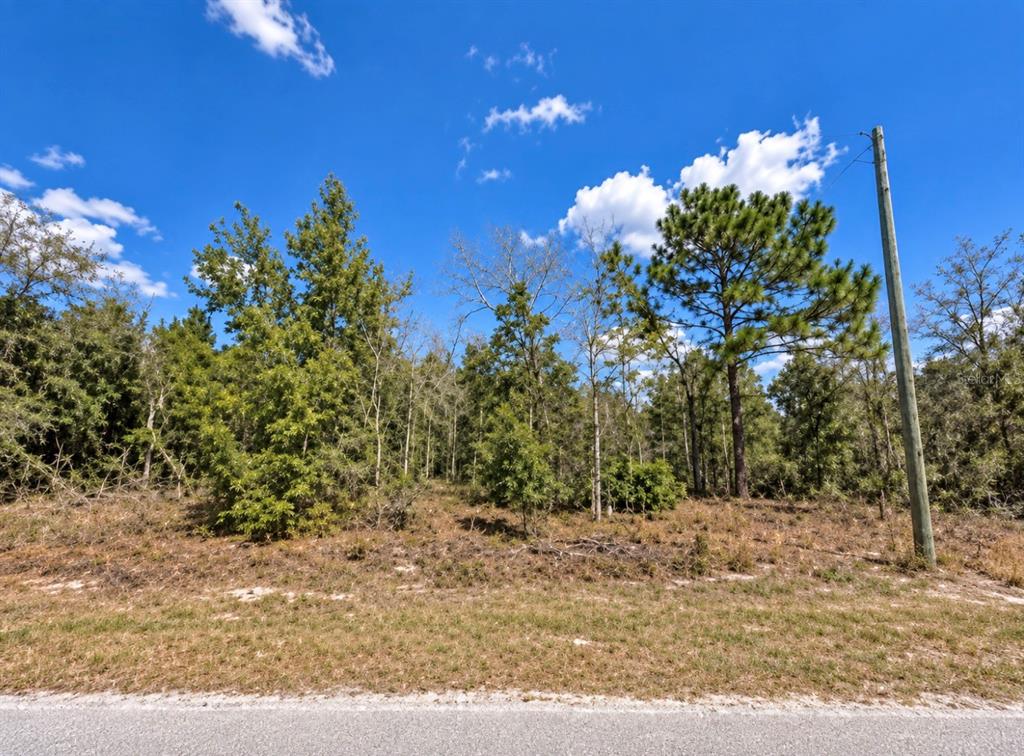 Property for sale at 15540 CLIFF SWALLOW RD, BROOKSVILLE, FL, 34614