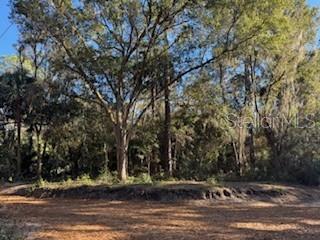 Vacant .28-acre Lot View