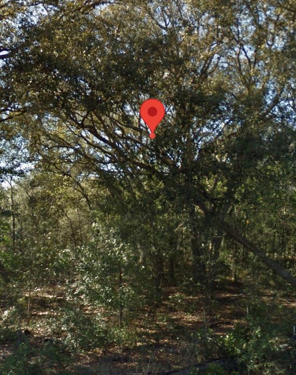 Property for sale at NE 139TH STREET, WILLISTON, FL, 32696