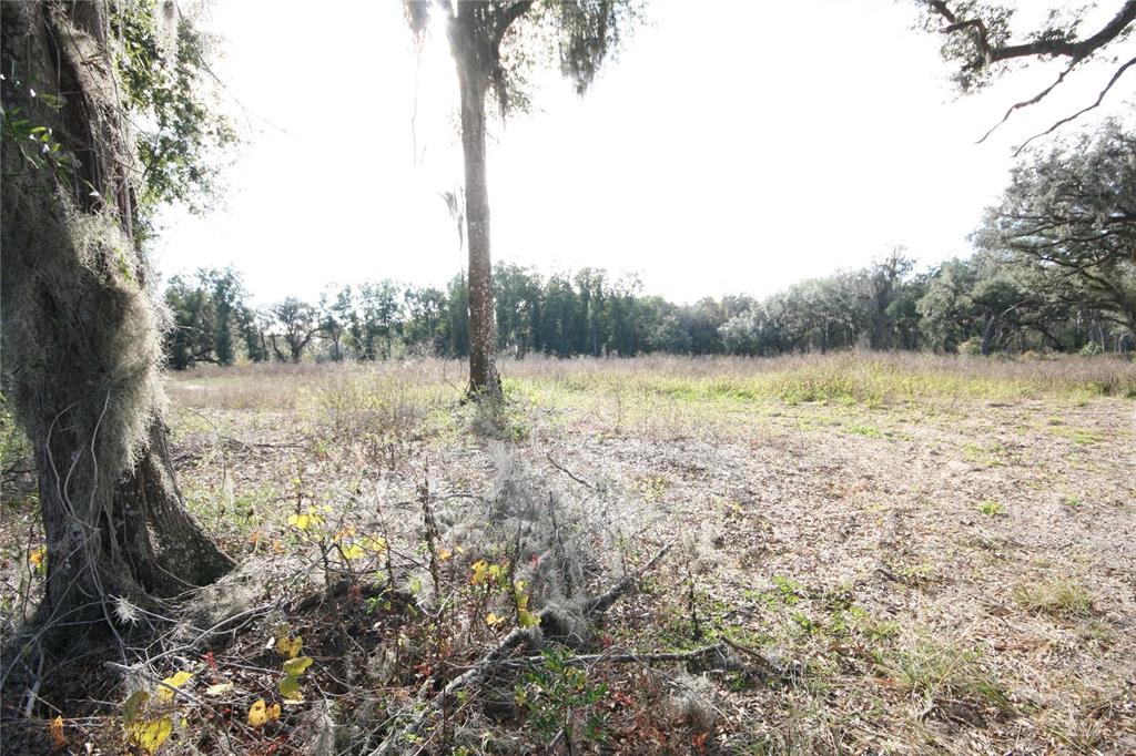 Property for sale at US HWY 301-18 ACRES, CITRA, FL, 32113
