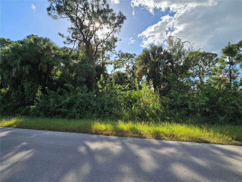 Property for sale at 454 NAPLES AVENUE S, LEHIGH ACRES, FL, 33974