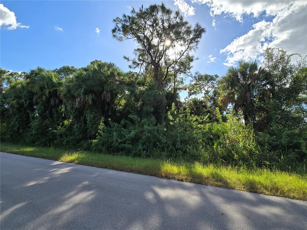 Property for sale at 454 NAPLES AVENUE S, LEHIGH ACRES, FL, 33974