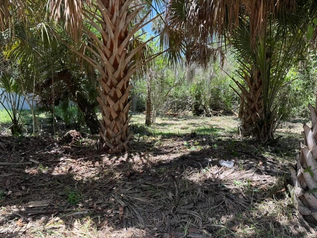 Property for sale at 110 OAK STREET, FLAGLER BEACH, FL, 32136