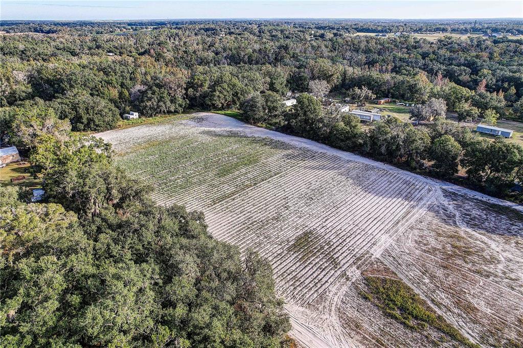 Property for sale at 4822 NESMITH ROAD, PLANT CITY, FL, 33567