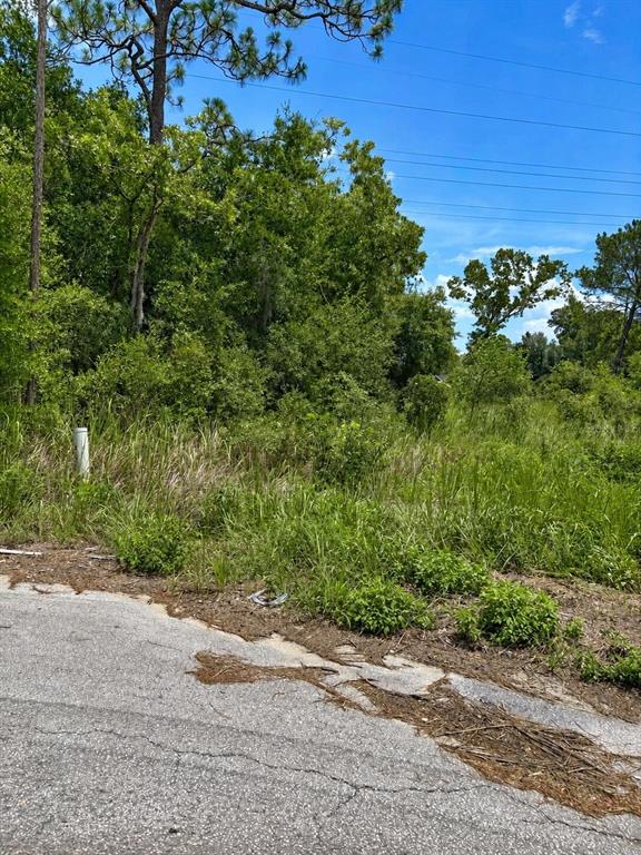 Property for sale at WATER TRACK LOT 08, OCALA, FL, 34477