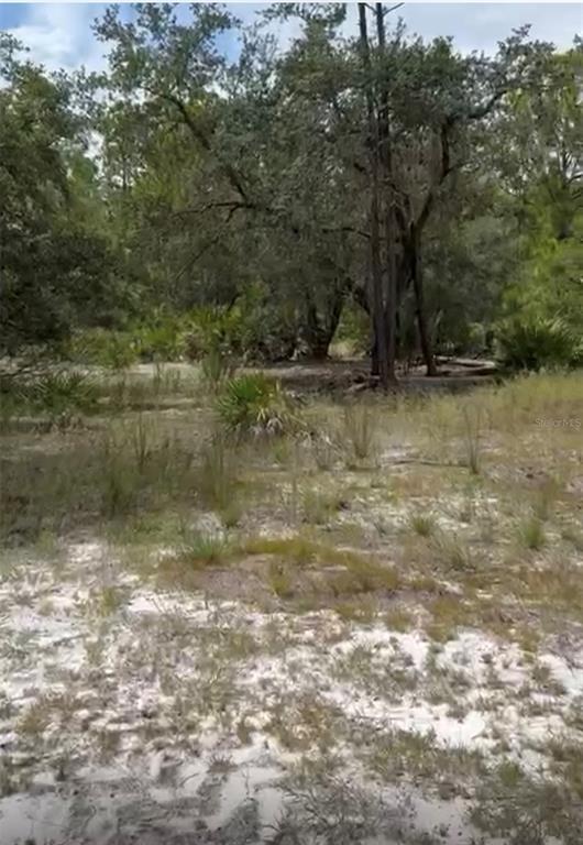 Property for sale at 0 ORCHID DRIVE, INDIAN LAKE ESTATES, FL, 33855