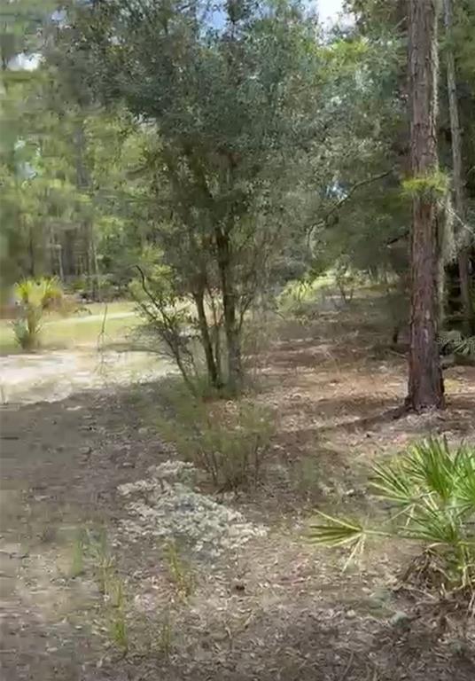 Property for sale at 0 ORCHID DRIVE, INDIAN LAKE ESTATES, FL, 33855
