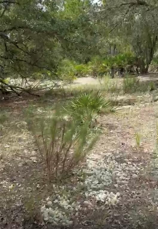 Property for sale at 0 ORCHID DRIVE, INDIAN LAKE ESTATES, FL, 33855