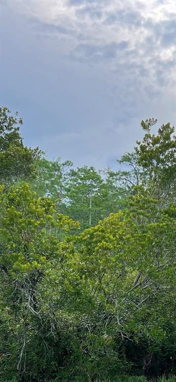 Property for sale at MALAUKA LOOP, OCKLAWAHA, FL, 32179