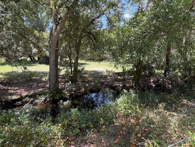 Property for sale at 10613 SE FOSTER AVENUE, ARCADIA, FL, 34266