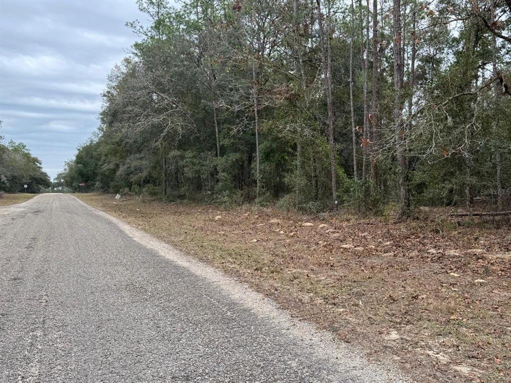 Property for sale at 60 E FALCON STREET, DUNNELLON, FL, 34434