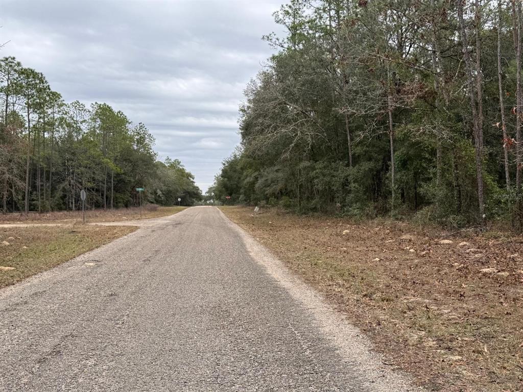 Property for sale at 60 E FALCON STREET, DUNNELLON, FL, 34434