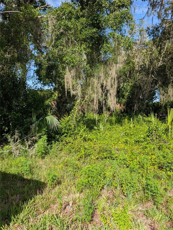Partially cleared, Level lot
