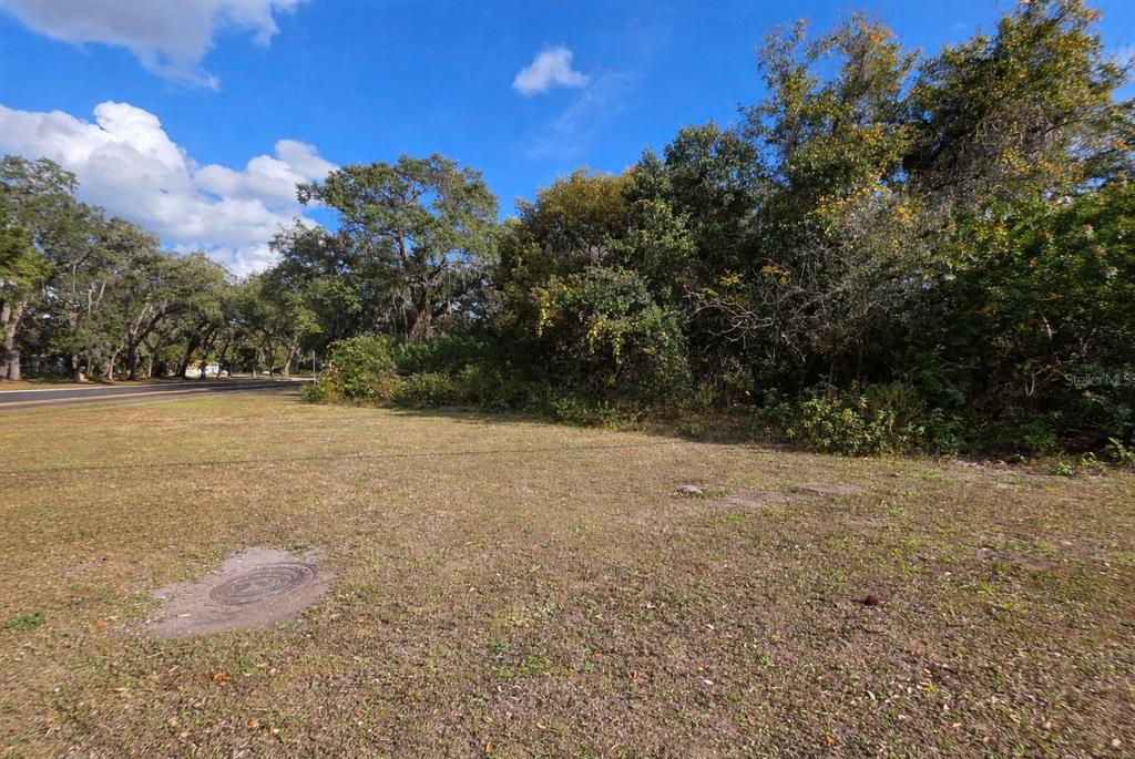 Property for sale at 0 MICHIGAN AVENUE, KISSIMMEE, FL, 34744