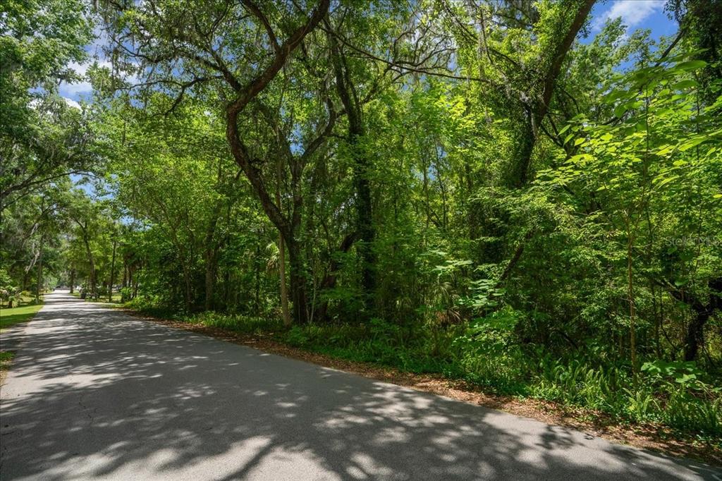 Property for sale at 3334 SE 45TH ST, OCALA, FL, 34480