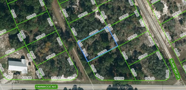 Property for sale at 203 BLUE HORIZON DRIVE, LAKE PLACID, FL, 33852