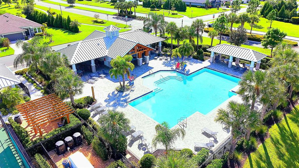 Community Pool and Amenities