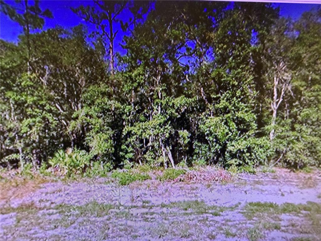 Property for sale at 0 CHIPO ST, INTERLACHEN, FL, 32148