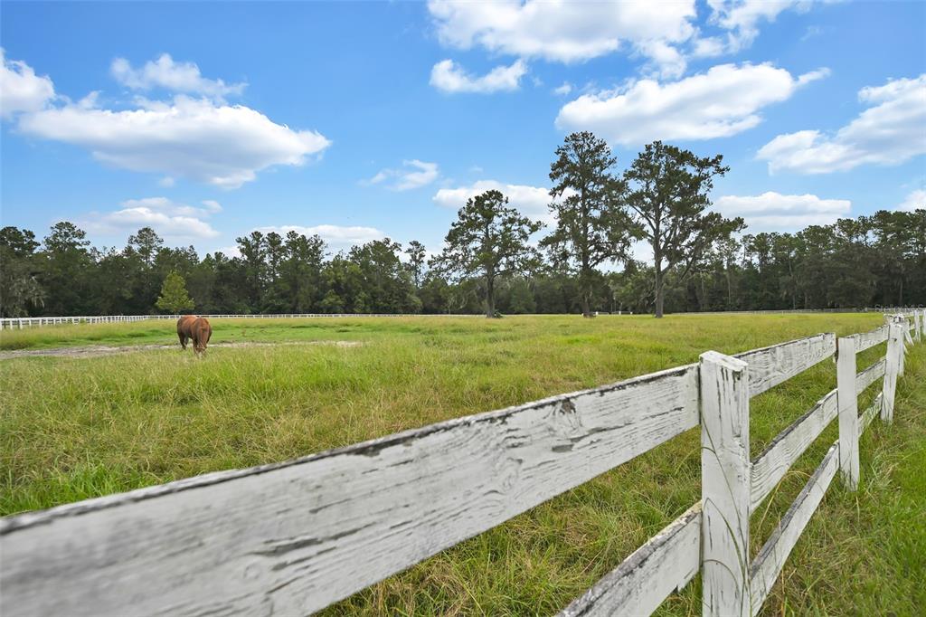 Property for sale at 19566 NW 123RD COURT, MICANOPY, FL, 32667