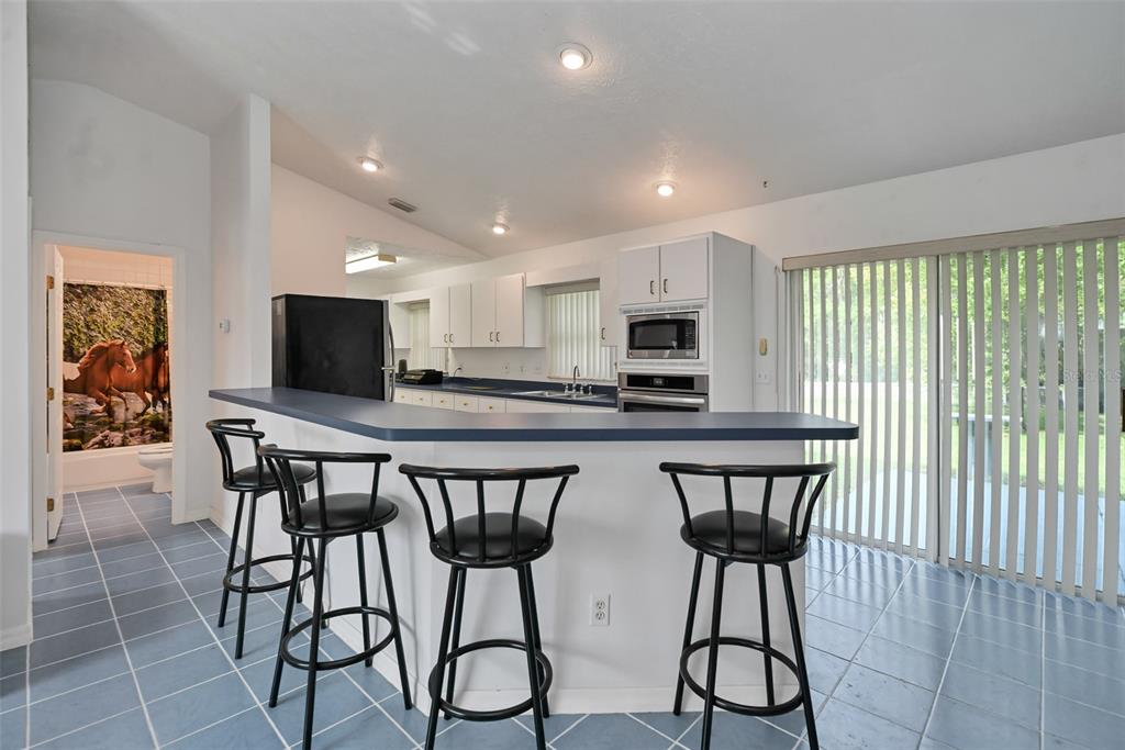 Property for sale at 19566 NW 123RD COURT, MICANOPY, FL, 32667