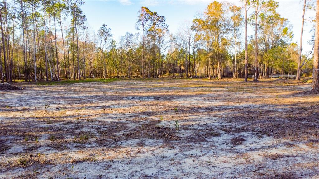 Property for sale at 0 STATE ROAD 33, CLERMONT, FL, 34714