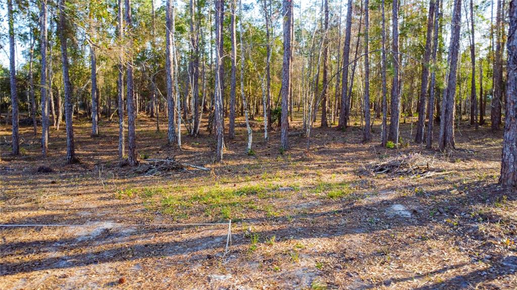 Property for sale at 0 STATE ROAD 33, CLERMONT, FL, 34714