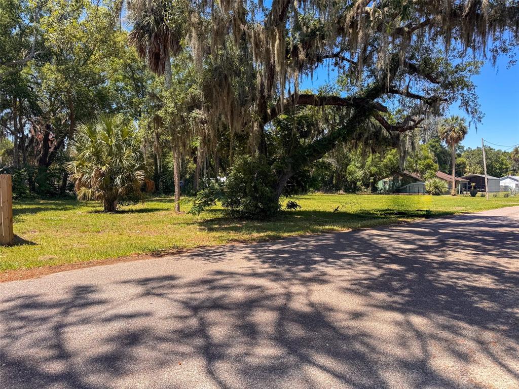 Property for sale at Lot 00200 LENORD STREET, UMATILLA, FL, 32784