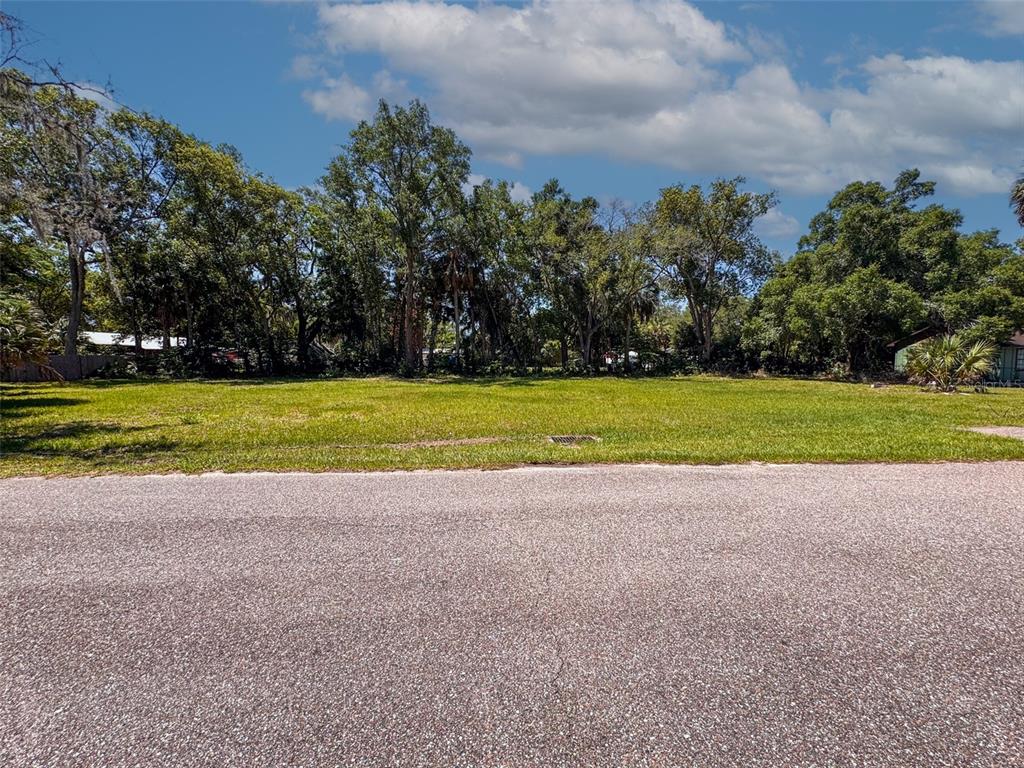 Property for sale at Lot 00200 LENORD STREET, UMATILLA, FL, 32784