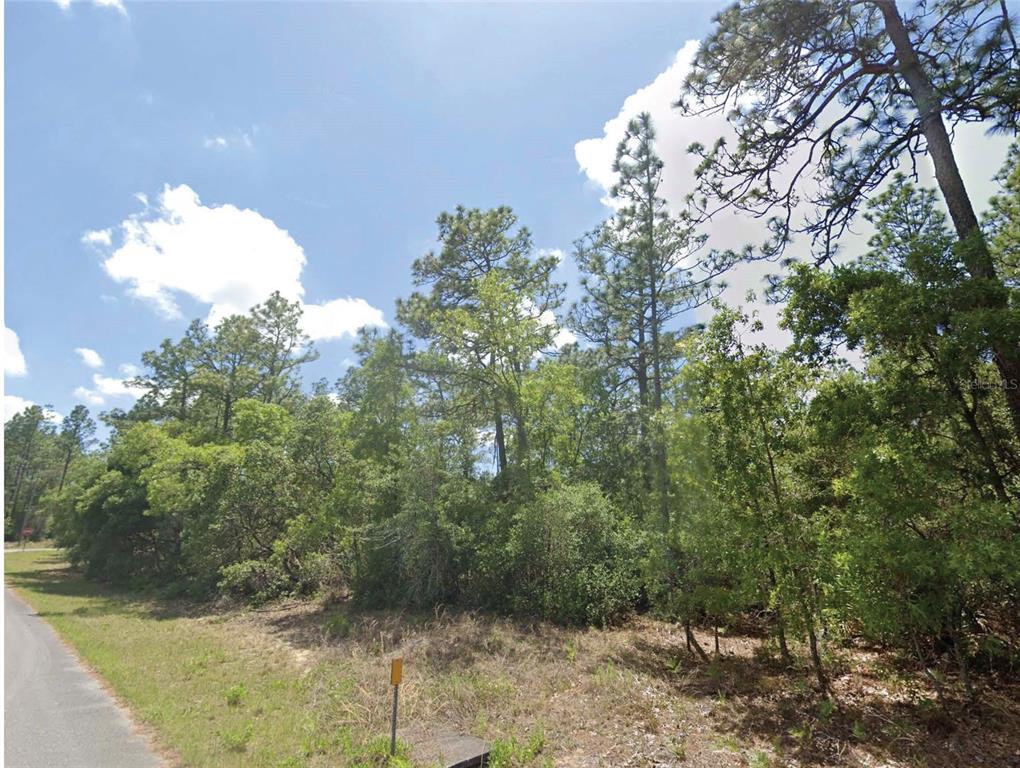Property for sale at 9164 N GILBERT TERRACE, DUNNELLON, FL, 34433