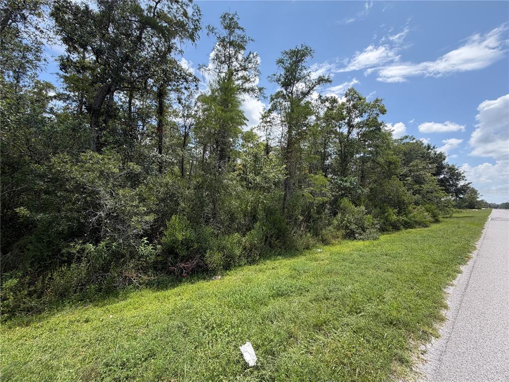 Property for sale at STARRY STREET, ORLANDO, FL, 32833