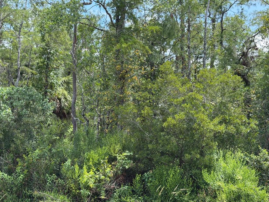 Property for sale at STARRY STREET, ORLANDO, FL, 32833