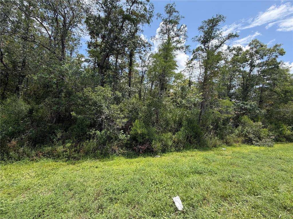 Property for sale at STARRY STREET, ORLANDO, FL, 32833