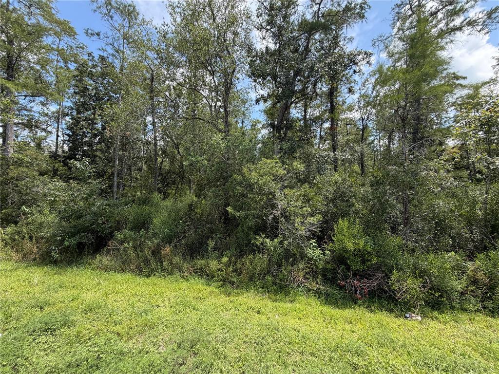 Property for sale at STARRY STREET, ORLANDO, FL, 32833