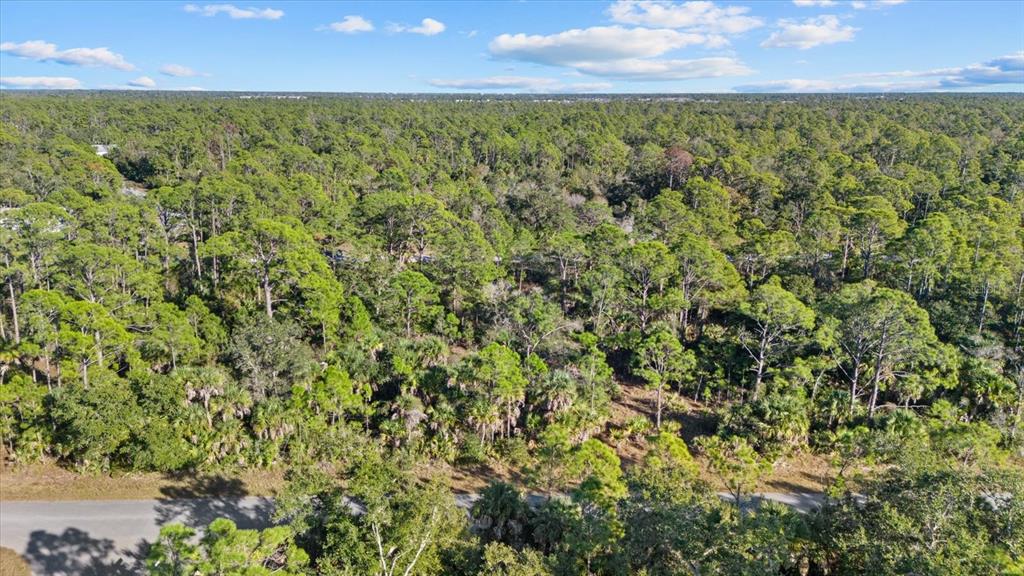 Property for sale at 1316 SHAKE STREET, PORT CHARLOTTE, FL, 33953