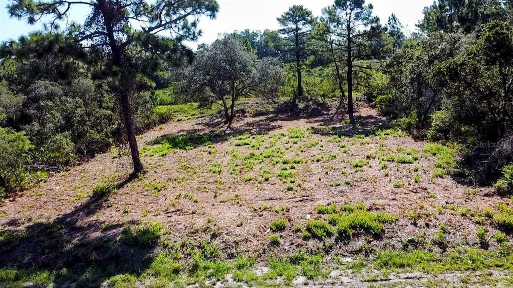 Property for sale at 0 MALAUKA PASS, OCKLAWAHA, FL, 32179