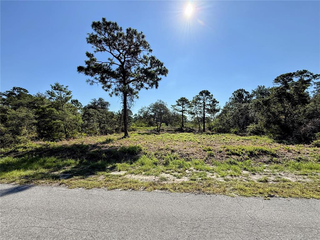 Property for sale at 0 MALAUKA PASS, OCKLAWAHA, FL, 32179